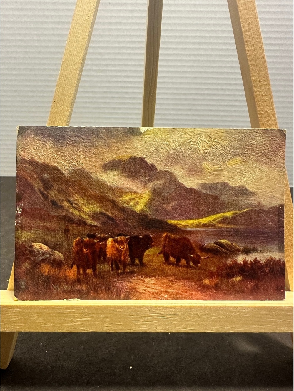 Vintage J Salmon Series 1368 Highland Cattle Mountain Lake Art Postca